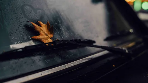 Rudens lapa un sirds formas zīmējums uz slapja automašīnas stikla.