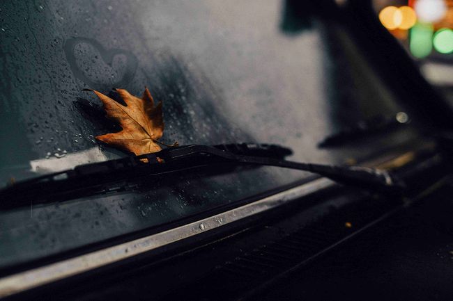 Rudens lapa un sirds formas zīmējums uz slapja automašīnas stikla.
