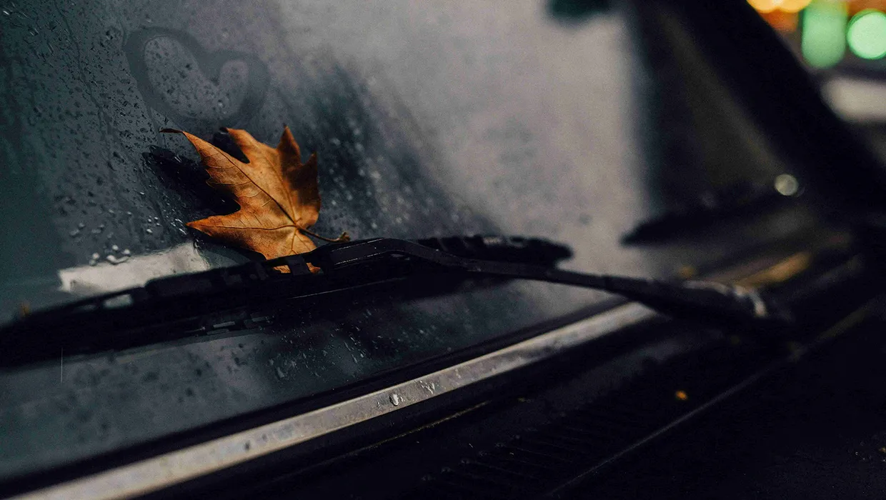 Rudens lapa un sirds formas zīmējums uz slapja automašīnas stikla.